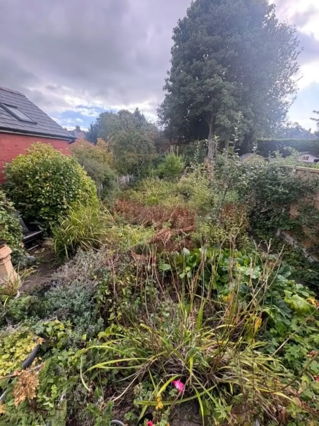 Garden clearance before work