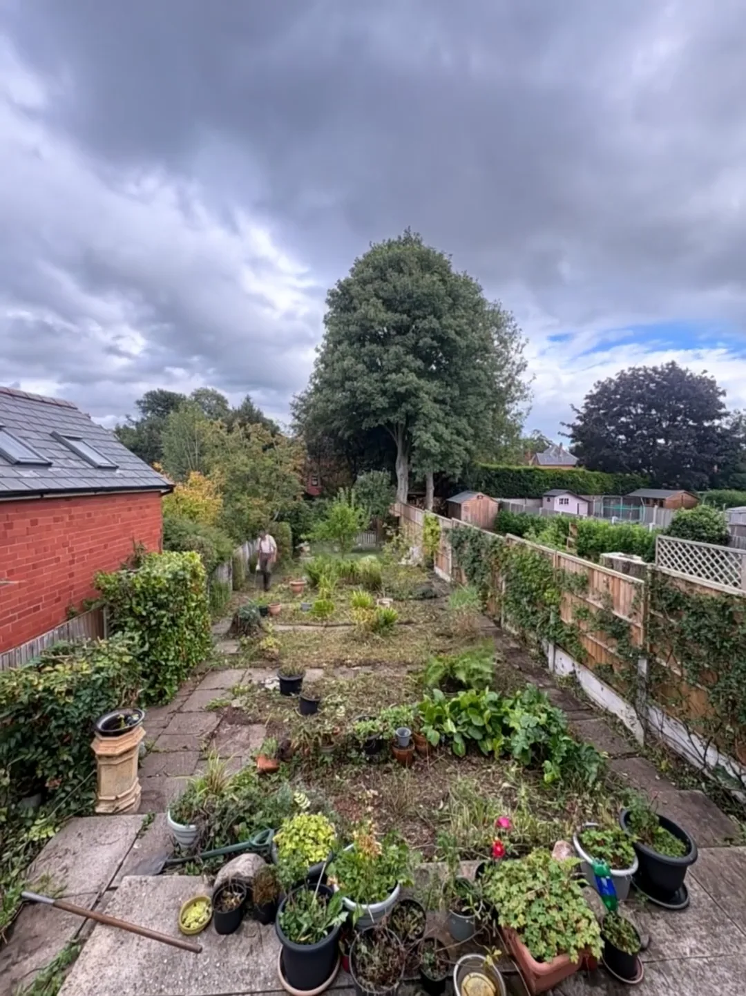 Garden clearance after work